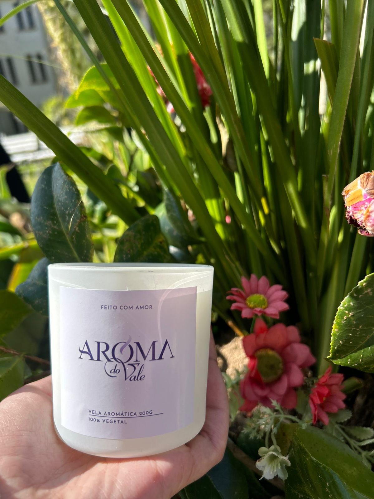 🌷 MANHÃ DE PRIMAVERA