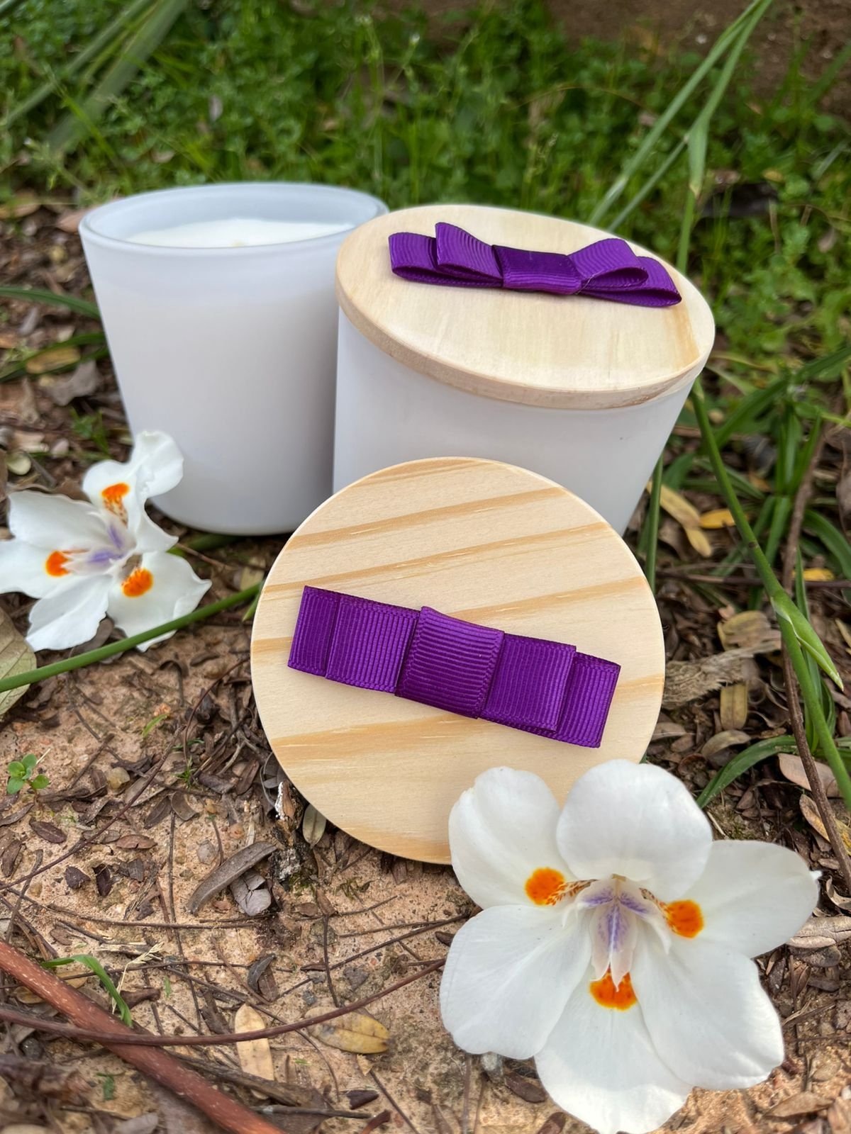 🌷 PRIMEIRO VERÃO