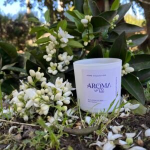 🍊🌸FLOR DE LARANJEIRA