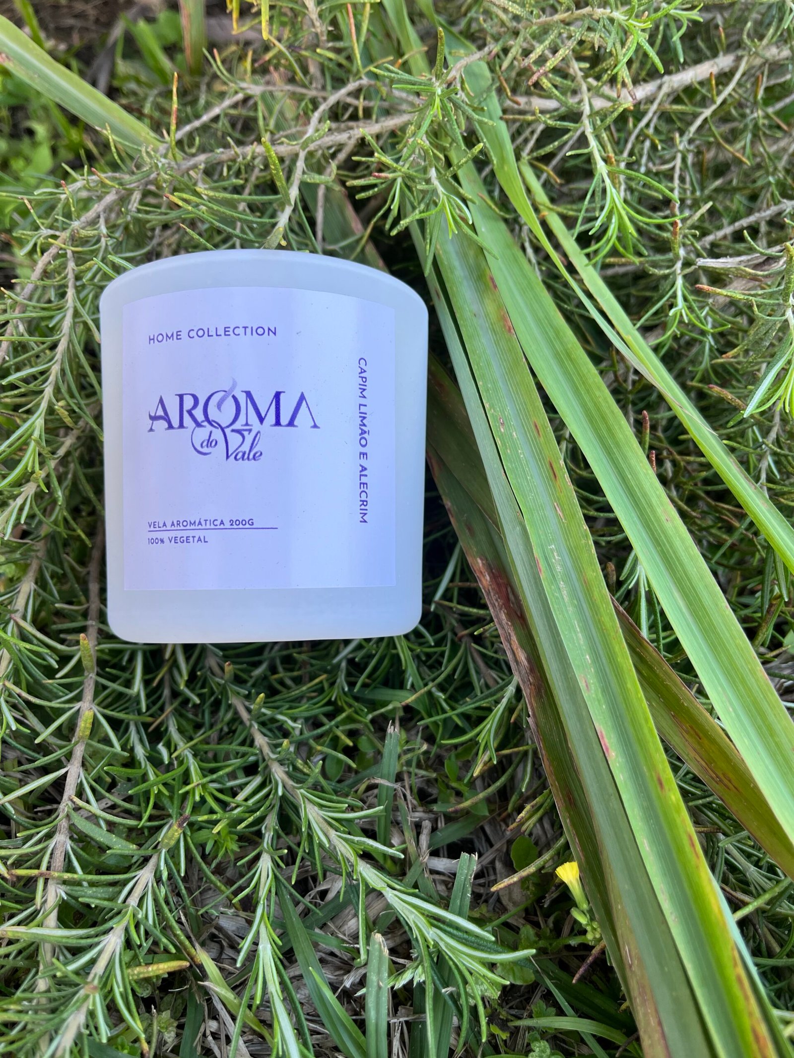 🍋🌿 CAPIM LIMÃO E ALECRIM