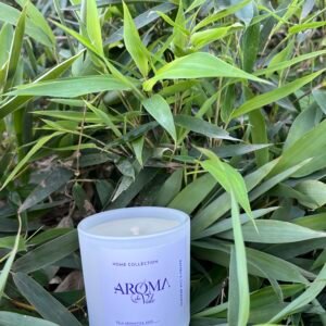 🎋☕ BAMBU E CHÁ BRANCO