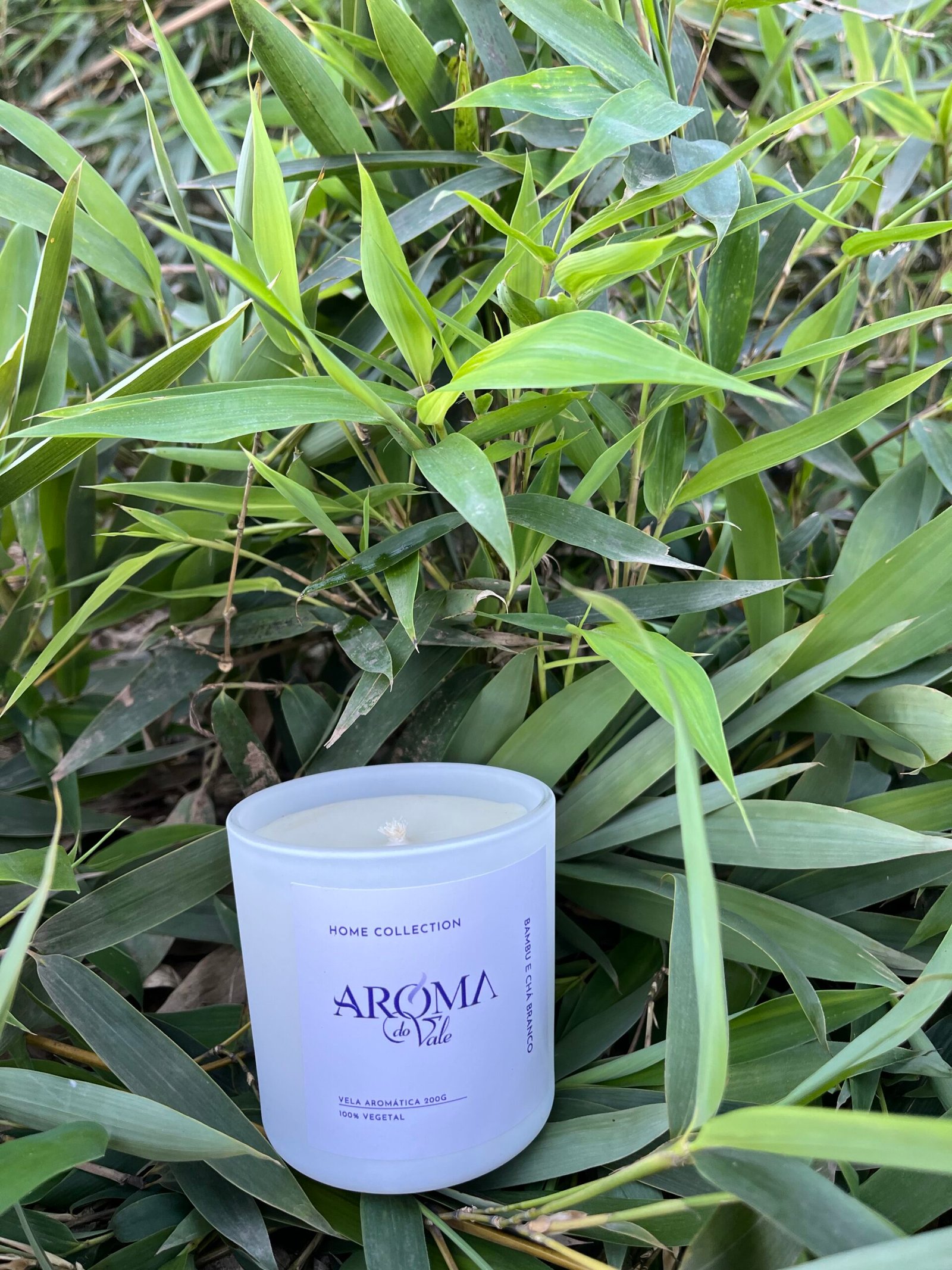 🎋☕ BAMBU E CHÁ BRANCO