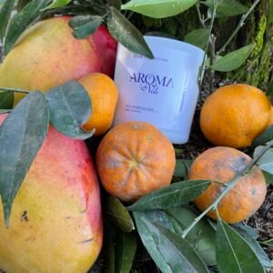 🥭🍊 MANGA E TANGERINA