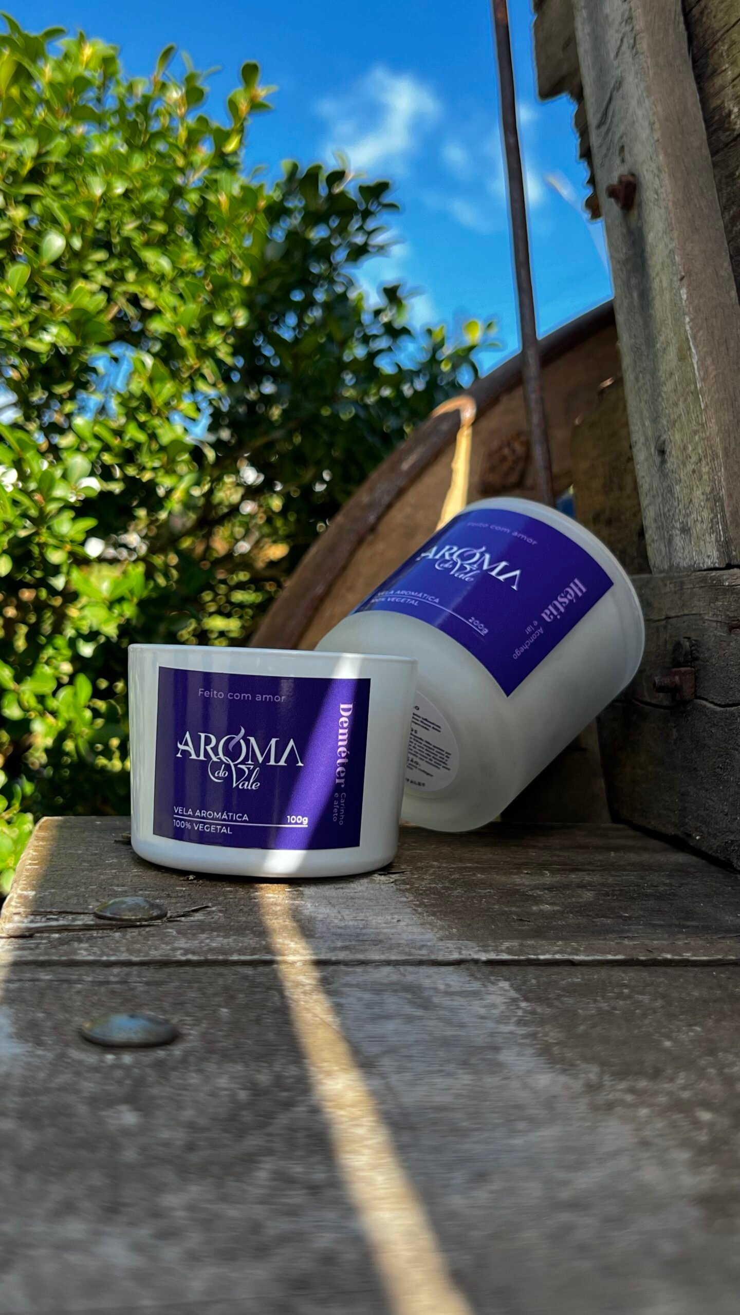 🌾 DEMÉTER - Carinho e Afeto