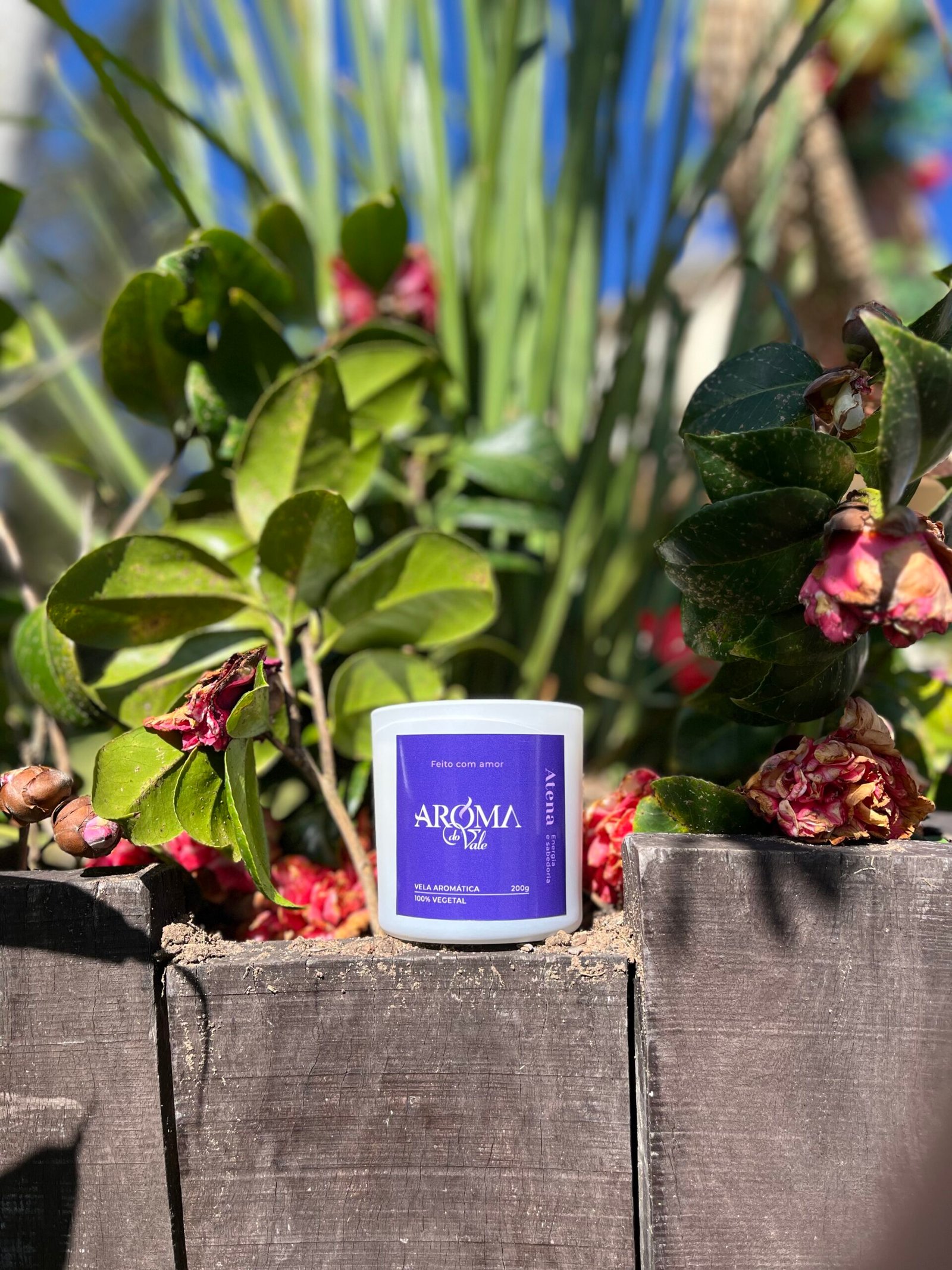 ⚔️ ATENA - Energia e Sabedoria