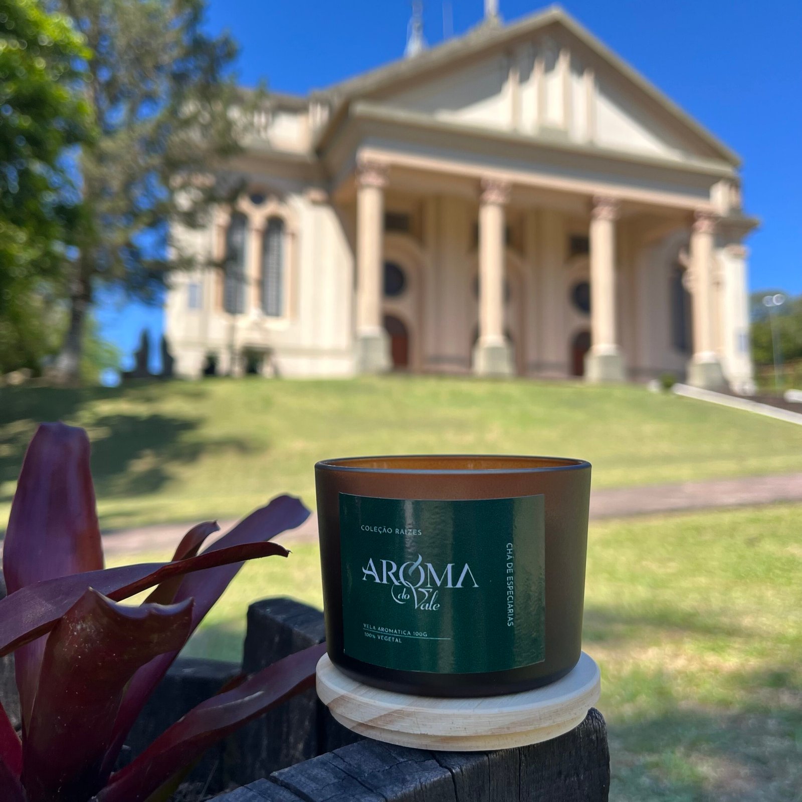 🍵 CHÁ DE ESPECIARIAS